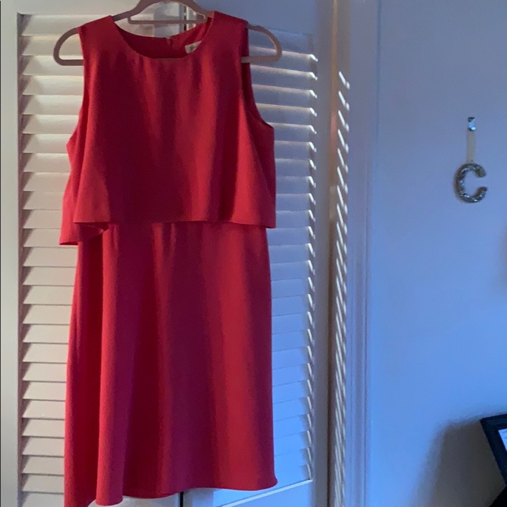 Calvin Klein Pink Professional Dress (Size 12)